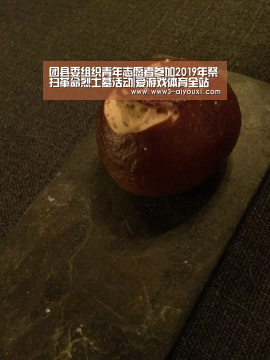 团县委组织青年志愿者参加2019年祭扫革命烈士墓活动|爱游戏体育全站(图1) 爱游戏体育全站