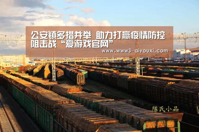 公安镇多措并举 助力打赢疫情防控阻击战“爱游戏官网”(图2) 爱游戏体育
