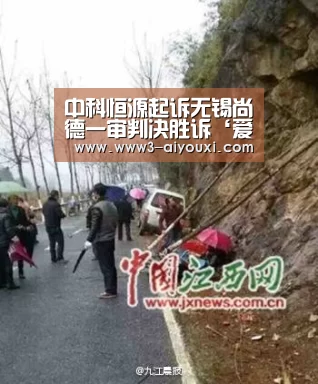 中科恒源起诉无锡尚德一审判决胜诉‘爱游戏官网’(图4) 爱游戏官网