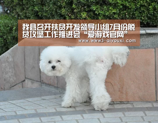 爱游戏体育